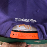 Phoenix suns SnapBack