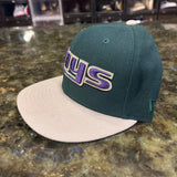 Tampa bay rays fitted cap