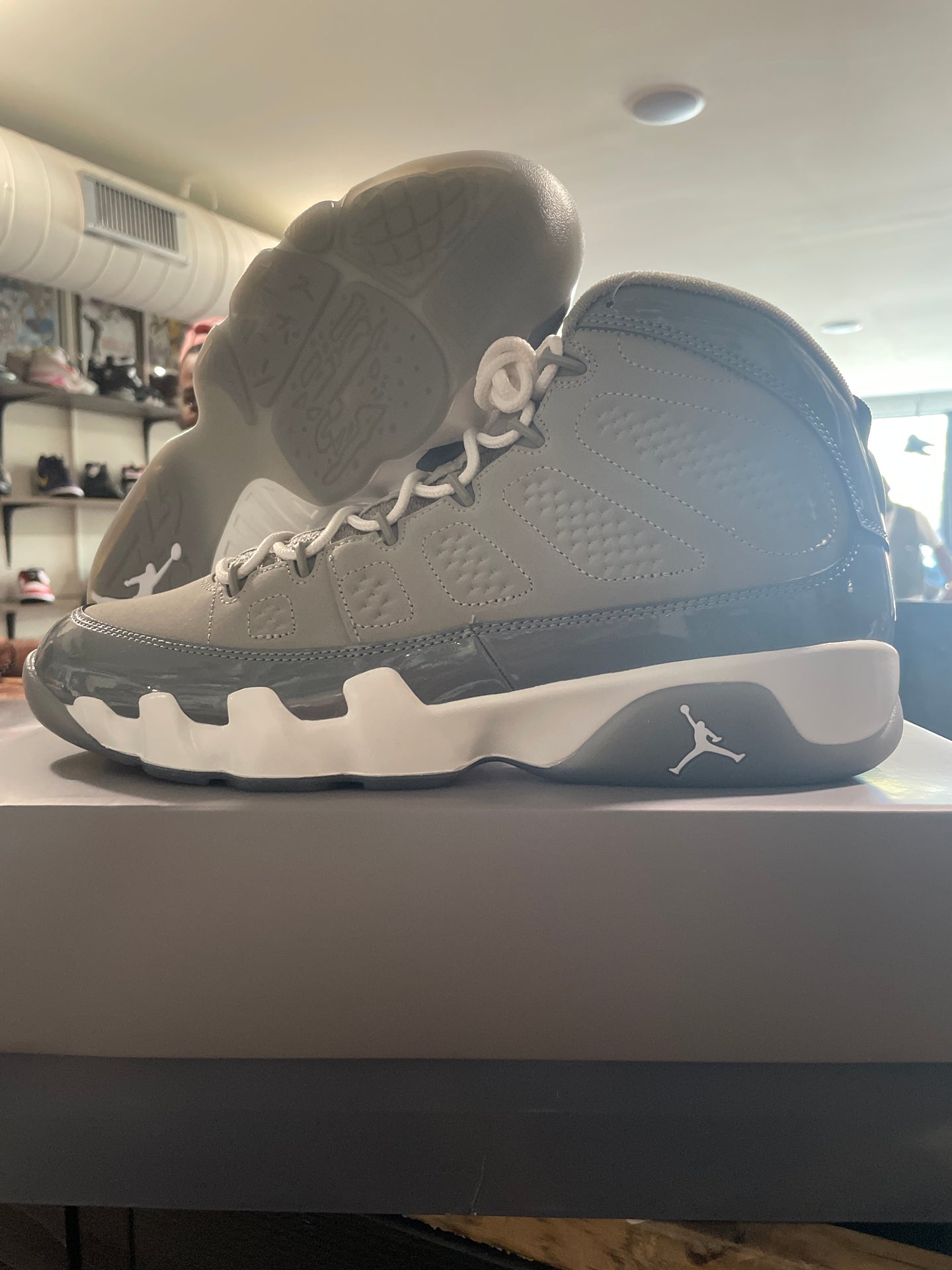 Air Jordan 9 Cool Grey