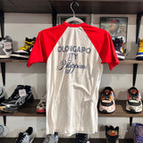 Vintage Purple Haze Raglan