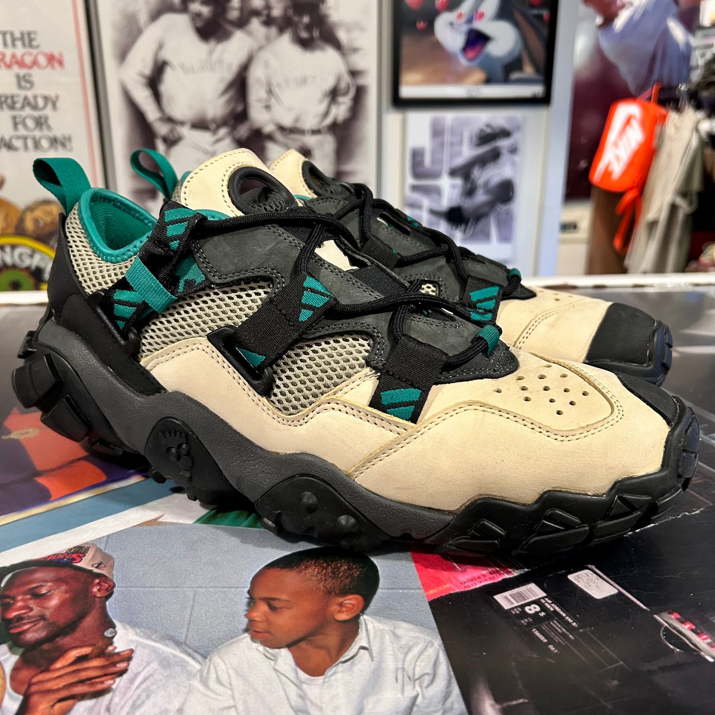 Adidas hiking sneakers