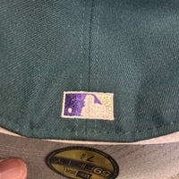 Tampa bay rays fitted cap