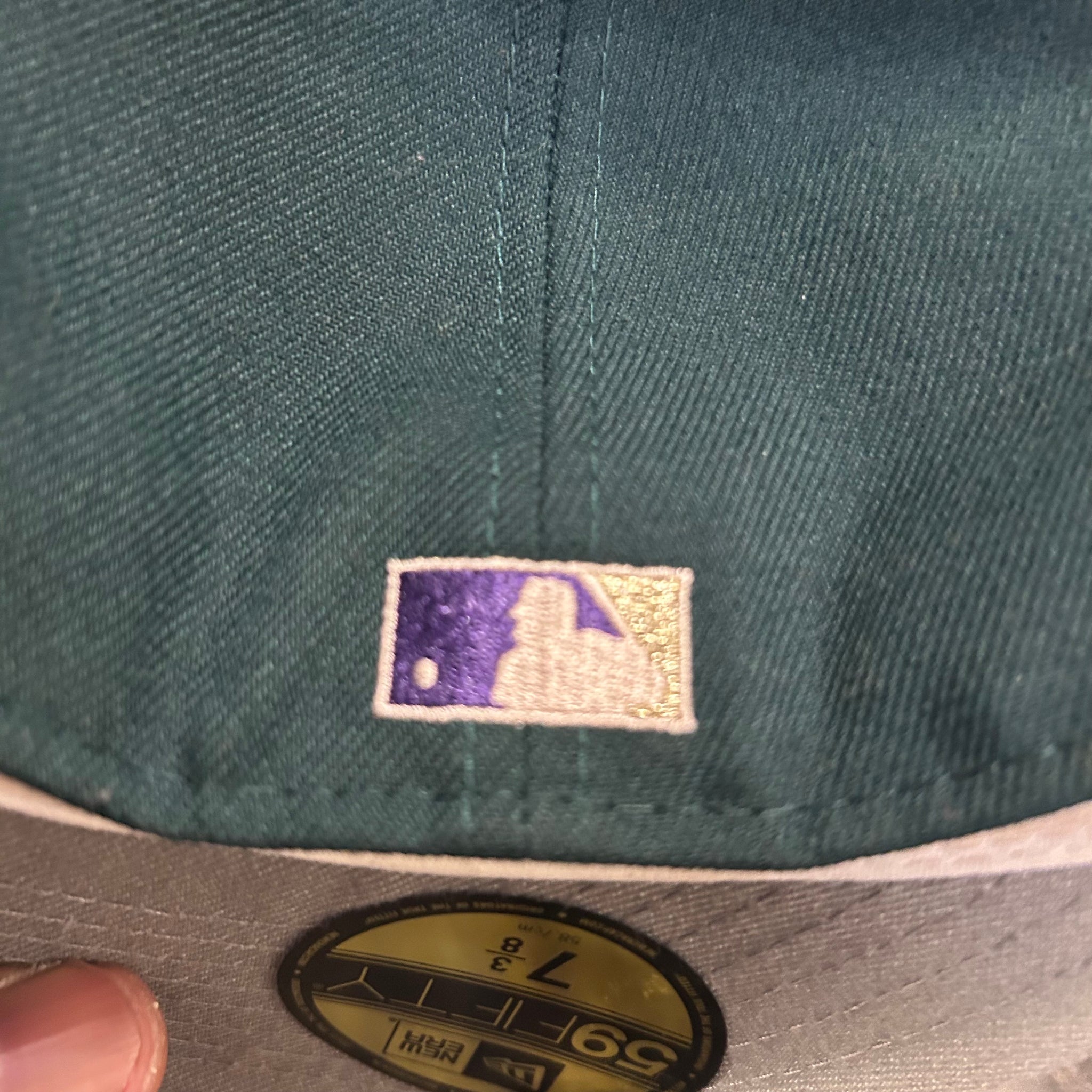 Tampa bay rays fitted cap