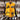 Lakers Varsity Jacket