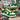 Bapestas green