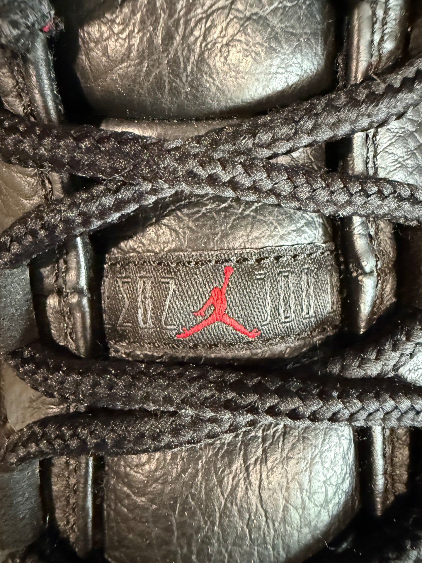 Jordan 11 low 72-10