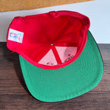 NWT Chicago Bulls SnapBack Hat