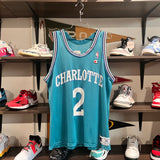 1990s Champion Larry Johnson Charlotte Hornets Basketball Jersey