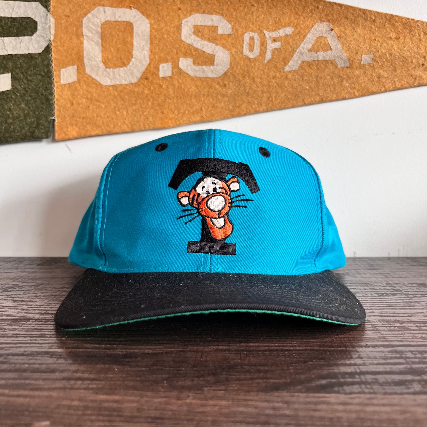 1990s Tigger SnapBack