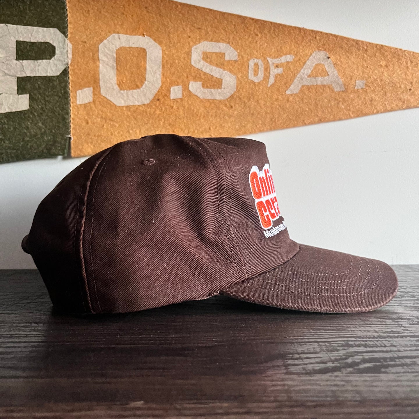 Online Ceramics ‘Mushroom House Haunted House Inc’ SnapBack